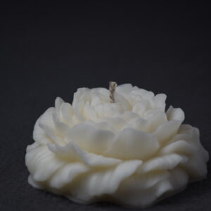 The Petal Study