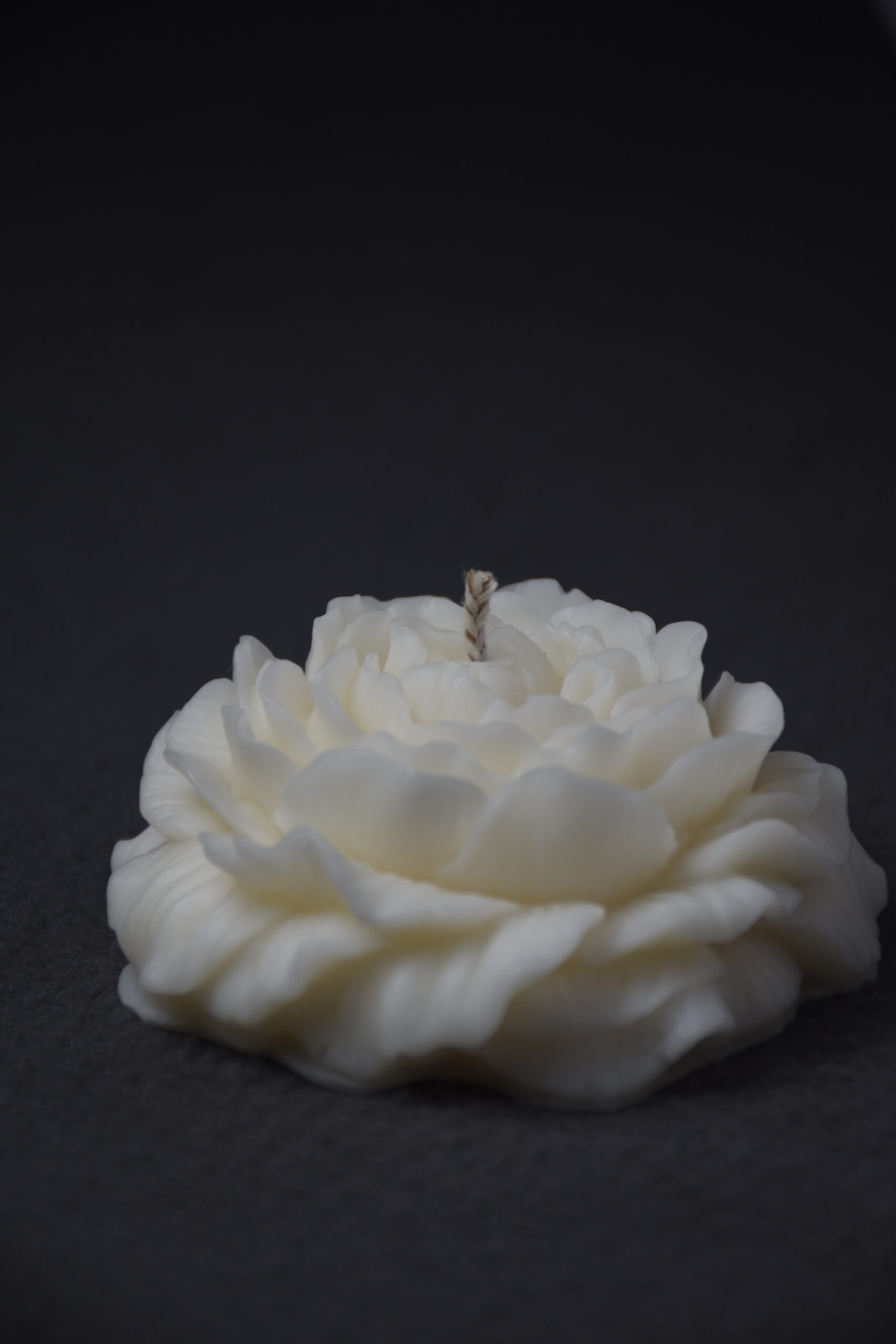 The Petal Study